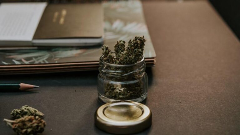 The Latest Trend with CBD Hemp Strains