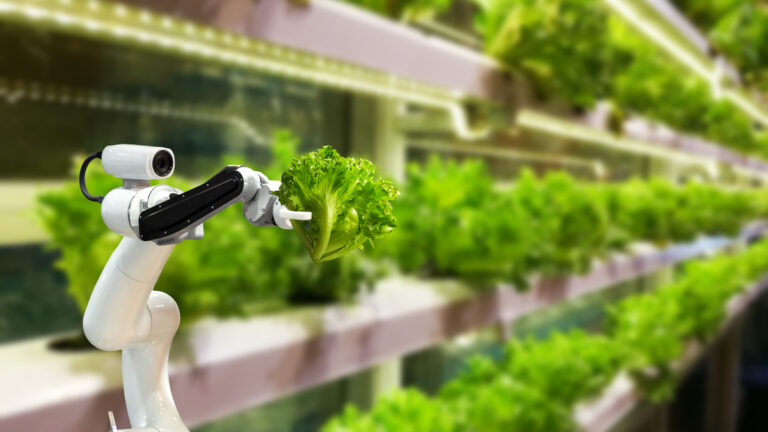 7 Agtech Tools That Help Modern Farmers