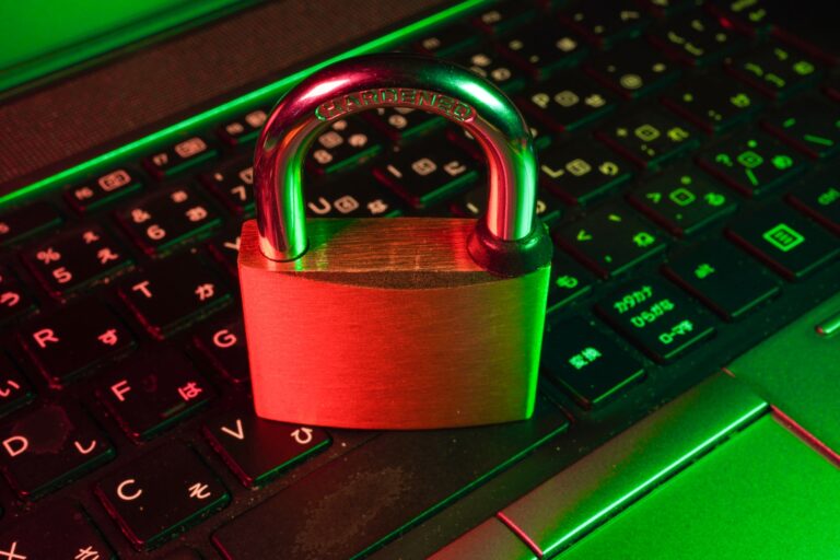 How To Find The Top Data Protection Services For Your Business