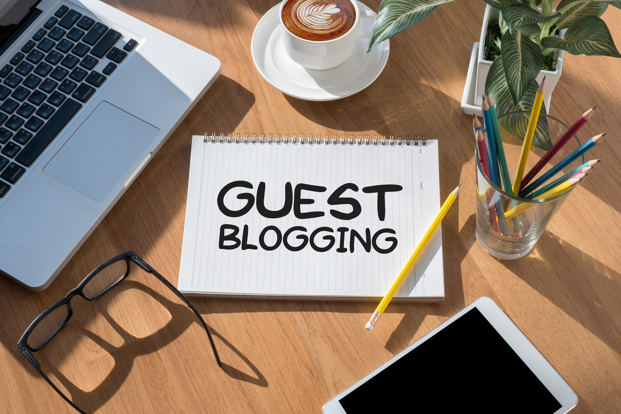 guest Post blog