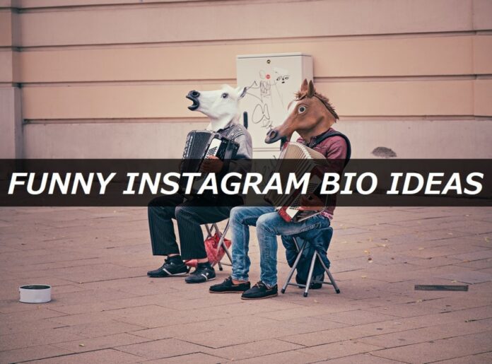 funny bio for Instagram