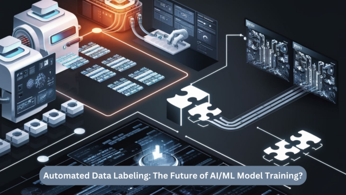 Automated Data Annotation: The Future or Just Half the Solution for AI/ML Model Training?