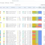 How Project Portfolio Management Software Improves Strategic Decision-Making