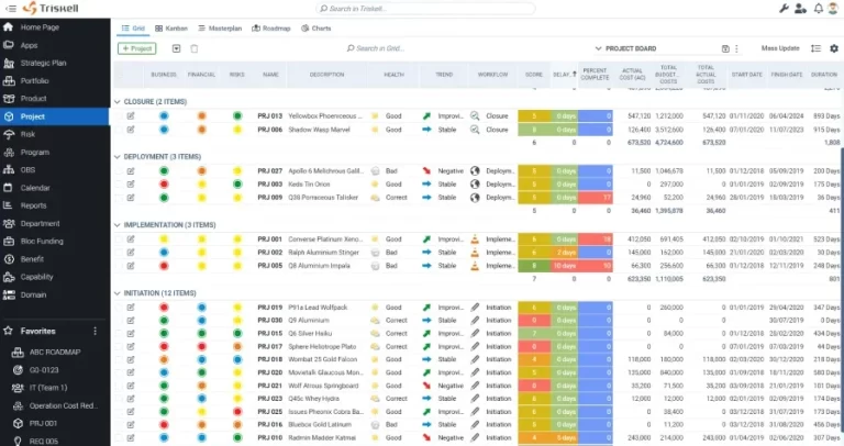How Project Portfolio Management Software Improves Strategic Decision-Making